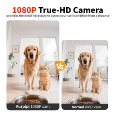Automatic Cat Feeder Food Dispenser With 1080 FHD WIFI Camera Recorder 8L Smart